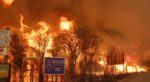 Incendios en Córdoba: “Va a ser una de las quemas históricas de la provincia”, en “Todos Juntos”, con F. Carnota – 01/10/2020
